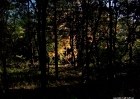 home_10-12-08 119